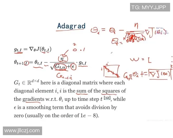 杭州网球队运营分析：成功经验与面临挑战的深度探讨